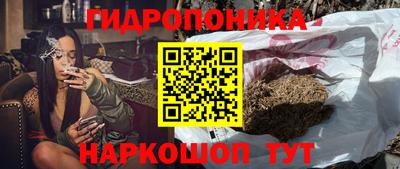 молекула духа Будённовск