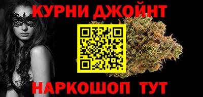 молекула духа Будённовск