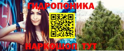 молекула духа Будённовск