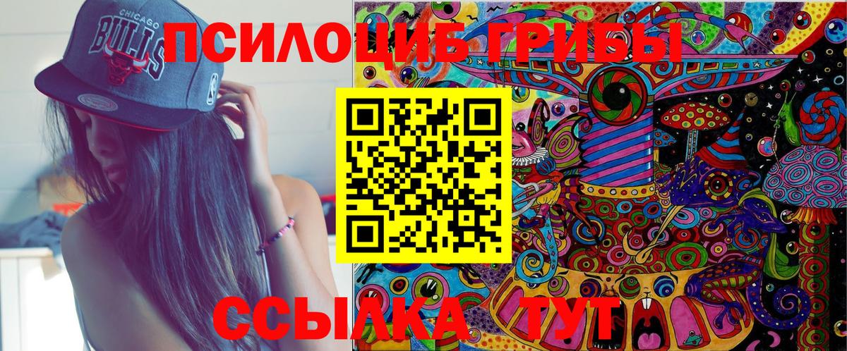 Артём  Псилоцибиновые грибы Psilocybine cubensis  Псилоцибиновые грибы Magic Shrooms  Вход с VPN 